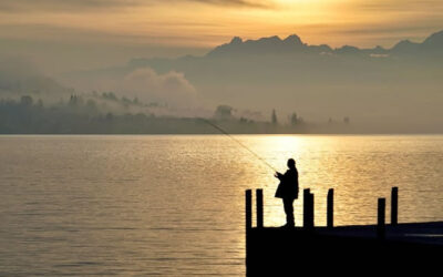 Finding the Perfect Fishing Spot: Tips and Strategies for Bass Anglers