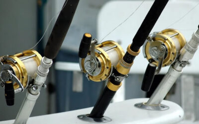 Maximizing Your Fishing Experience: The Benefits of Using Multiple Rod and Reel Setups