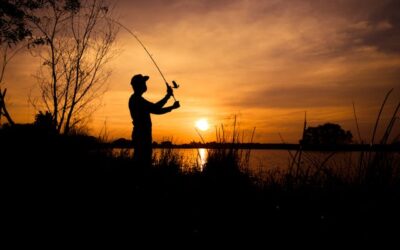 Lets Catch Some Aggressive Sunfish!